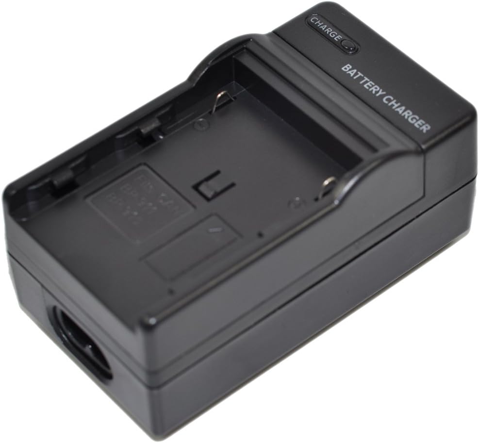 BLN-1 Battery AC DC Charger