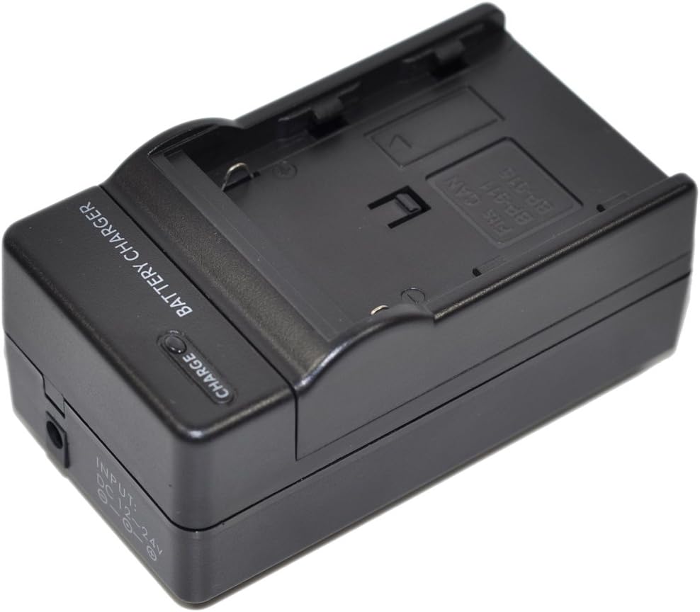 BLN-1 Battery AC DC Charger