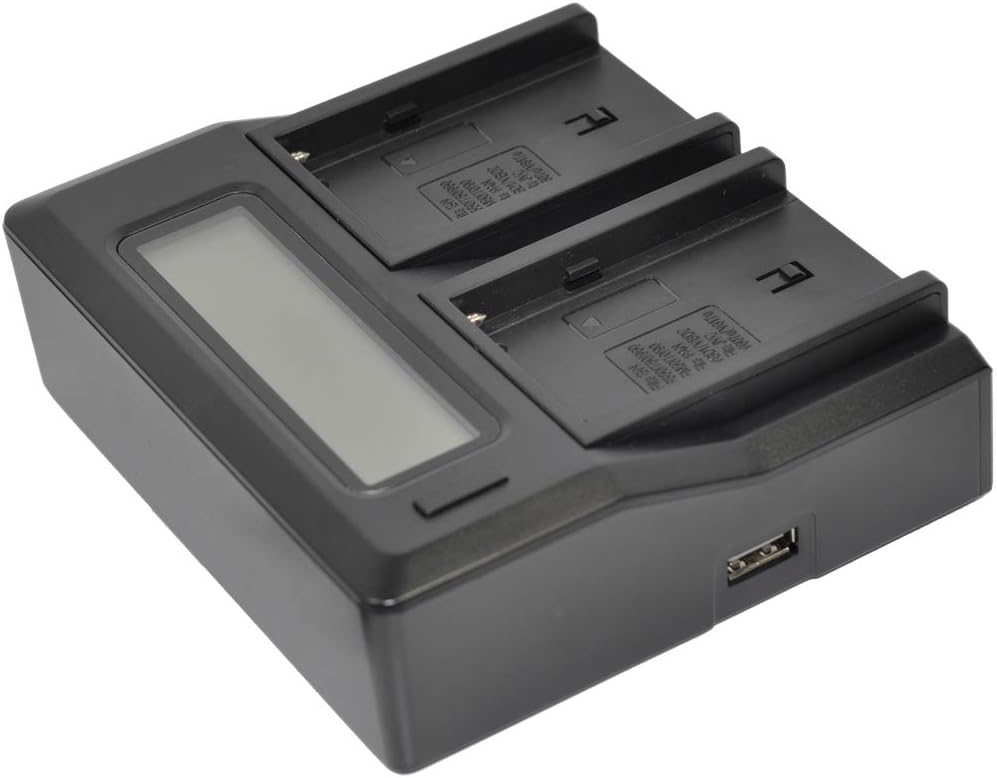 CGA-DU14 Battery AC Dual Charger