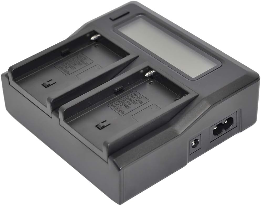 CGA-DU14 Battery AC Dual Charger