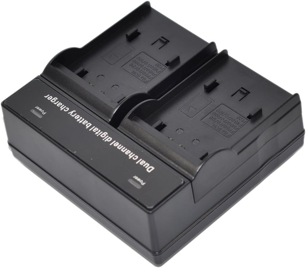 CGR-D28 Battery AC Dual Charger