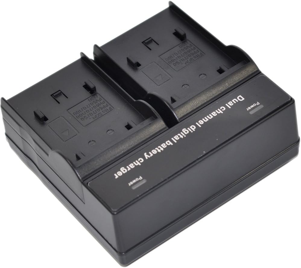 CGR-D28 Battery AC Dual Charger