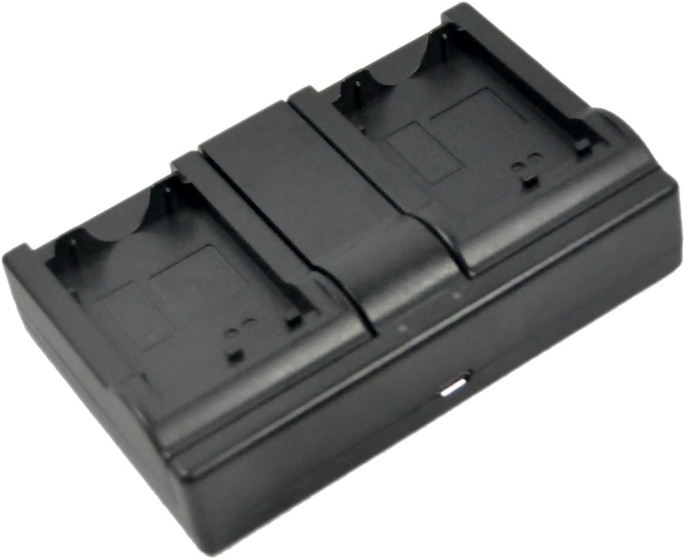 LI-50B Battery USB Dual Charger