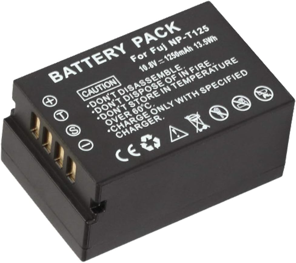 NP-T125 Replacement Battery
